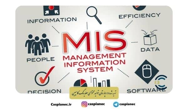 سیستم اطلاعات مدیریت (MIS)